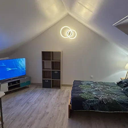 Appartement Le Petit Saint Vincent, Neuf Et Calme à Lorcy Extérieur photo