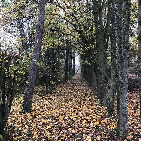 Appartement Le Petit Saint Vincent, Neuf Et Calme à Lorcy Extérieur photo